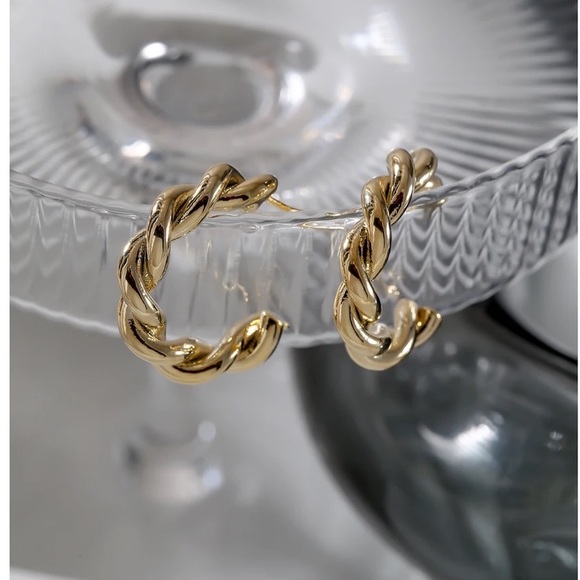 Gold twist hoop earrings - Picture 1 of 9